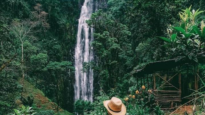Materuni Waterfall Hike, Chagga Coffee Tour and Kikuletwa Hot Springs Swing Day (1/11)