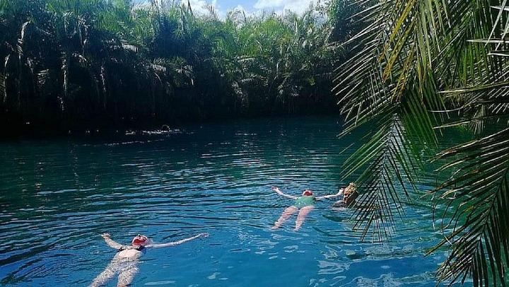 Materuni Waterfall Hike, Chagga Coffee Tour and Kikuletwa Hot Springs Swing Day (3/11)