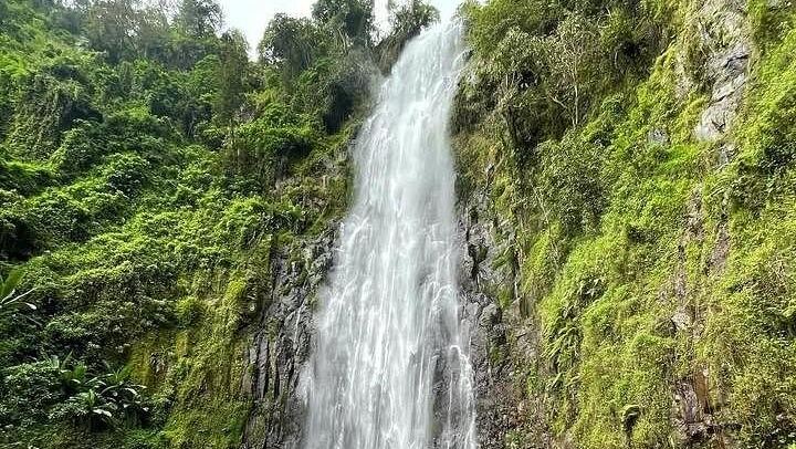 Materuni Waterfall and Coffee Tour with Optional Kikuletwa Hot Springs from Moshi (3/12)