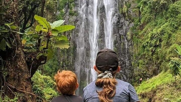 Materuni Waterfall and Coffee Tour with Optional Kikuletwa Hot Springs from Moshi (2/12)