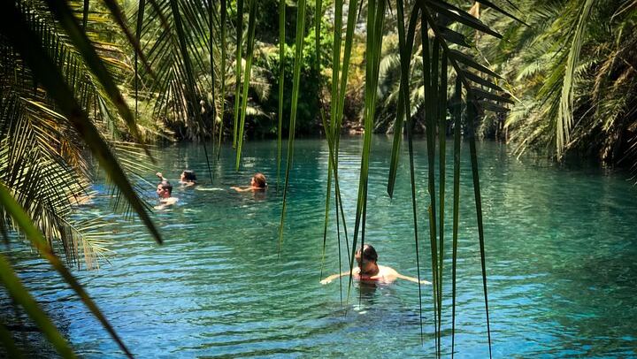 Private Materuni Waterfall Hike, Coffee Tour and Kikuletwa Hot Springs Combo Tour (2/9)