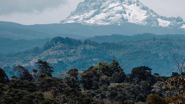 Materuni Waterfall Hike, Chagga Coffee Tour and Kikuletwa Hot Springs Swing Day (2/11)