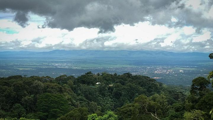 Private Materuni Waterfall Hike, Coffee Tour and Kikuletwa Hot Springs Combo Tour (4/9)