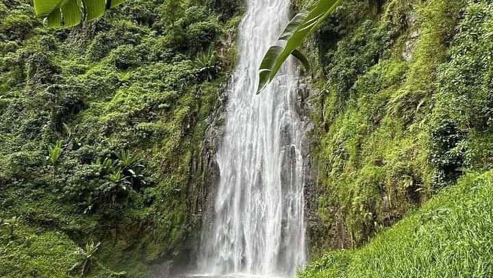 Materuni Waterfall and Coffee Tour with Optional Kikuletwa Hot Springs from Moshi (1/12)