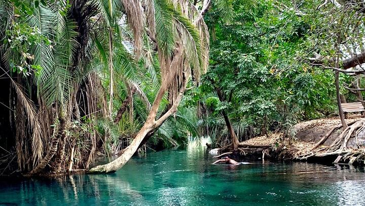 Private Materuni Waterfall Hike, Coffee Tour and Kikuletwa Hot Springs Combo Tour (3/9)