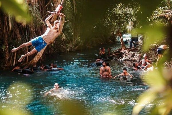 Materuni Waterfall and Chemka Hot Springs Day Trip with Lunch from Arusha