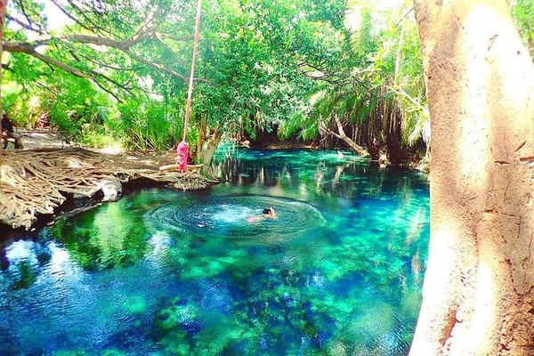 Materuni Waterfall Hike, Chagga Coffee Tour and Kikuletwa Hot Springs Swing Day