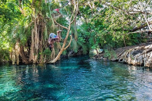 Private Materuni Waterfall Hike, Coffee Tour and Kikuletwa Hot Springs Combo Tour