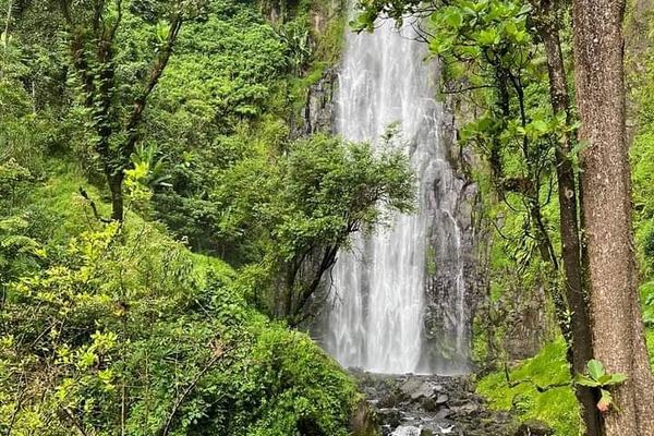 Materuni Waterfall and Coffee Tour with Optional Kikuletwa Hot Springs from Moshi