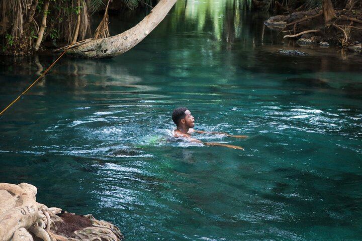 Private Materuni Waterfall Hike, Coffee Tour and Kikuletwa Hot Springs Combo Tour (1/9)
