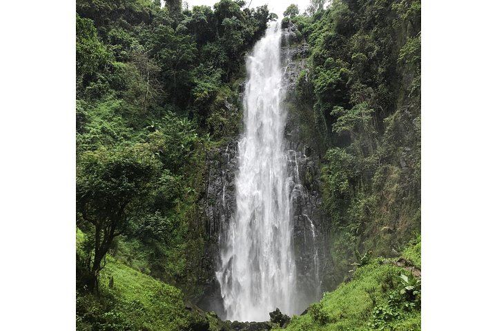 Private Materuni Waterfall Hike, Coffee Tour and Kikuletwa Hot Springs Combo Tour (6/9)