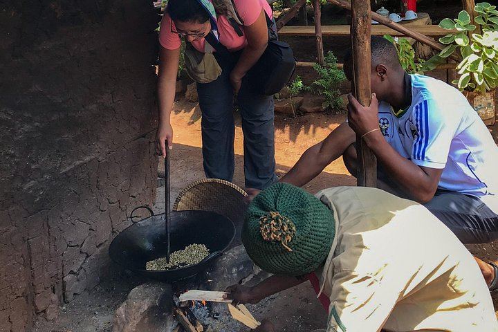 Private Materuni Waterfall Hike, Coffee Tour and Kikuletwa Hot Springs Combo Tour (9/9)