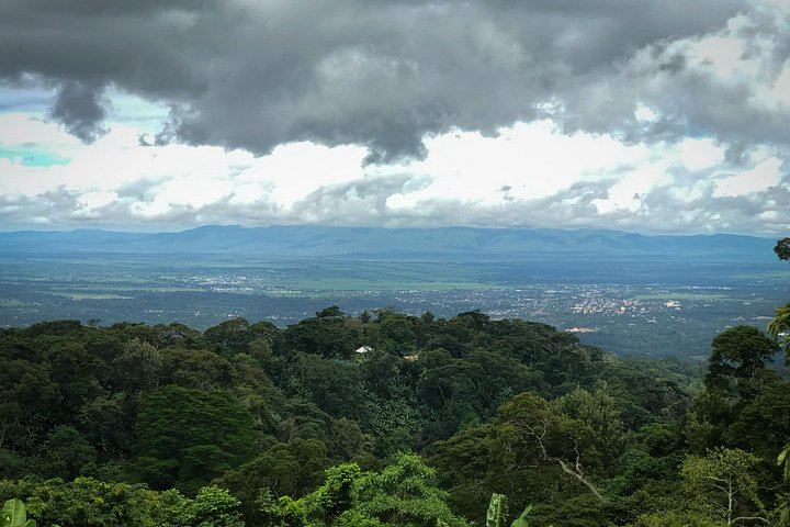 Private Materuni Waterfall Hike, Coffee Tour and Kikuletwa Hot Springs Combo Tour (4/9)