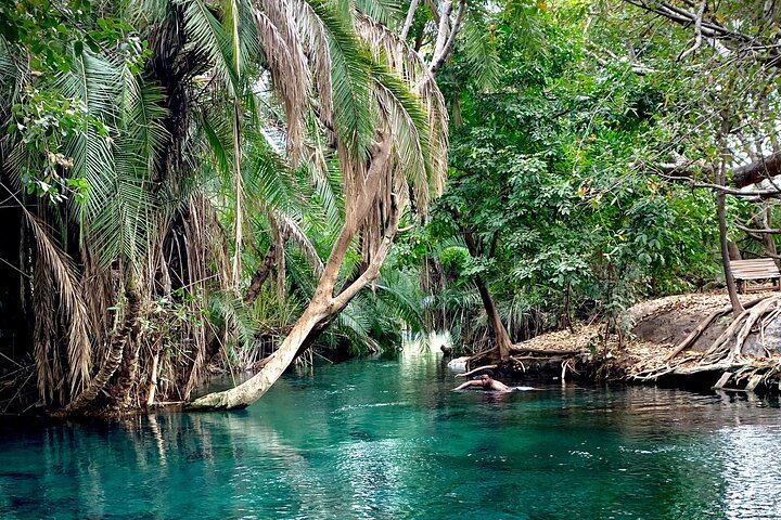 Private Materuni Waterfall Hike, Coffee Tour and Kikuletwa Hot Springs Combo Tour (3/9)