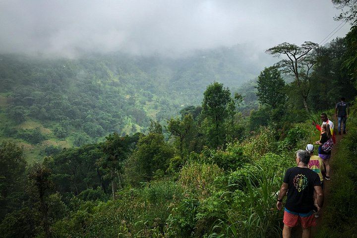 Private Materuni Waterfall Hike, Coffee Tour and Kikuletwa Hot Springs Combo Tour (5/9)