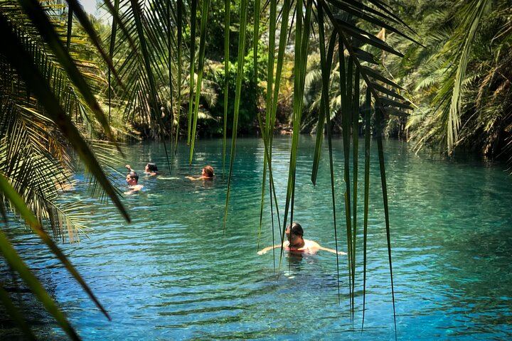 Private Materuni Waterfall Hike, Coffee Tour and Kikuletwa Hot Springs Combo Tour (2/9)