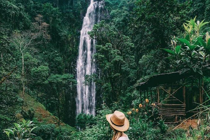 Materuni Waterfall Hike, Chagga Coffee Tour and Kikuletwa Hot Springs Swing Day (1/11)