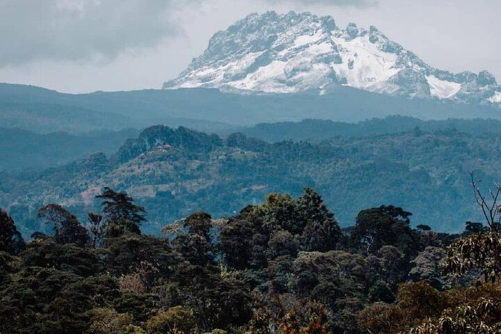 Materuni Waterfall Hike, Chagga Coffee Tour and Kikuletwa Hot Springs Swing Day (2/11)