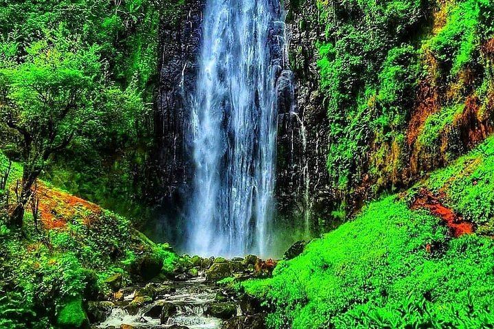 Materuni Waterfall Hike, Chagga Coffee Tour and Kikuletwa Hot Springs Swing Day (10/11)