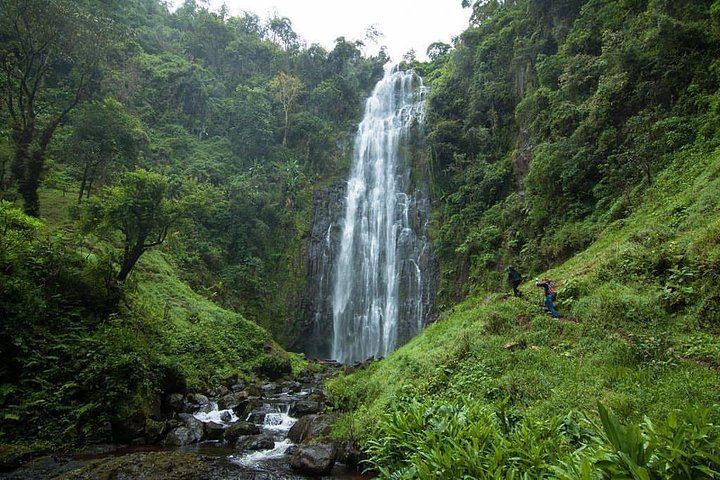 Materuni Waterfall Hike, Chagga Coffee Tour and Kikuletwa Hot Springs Swing Day (8/11)