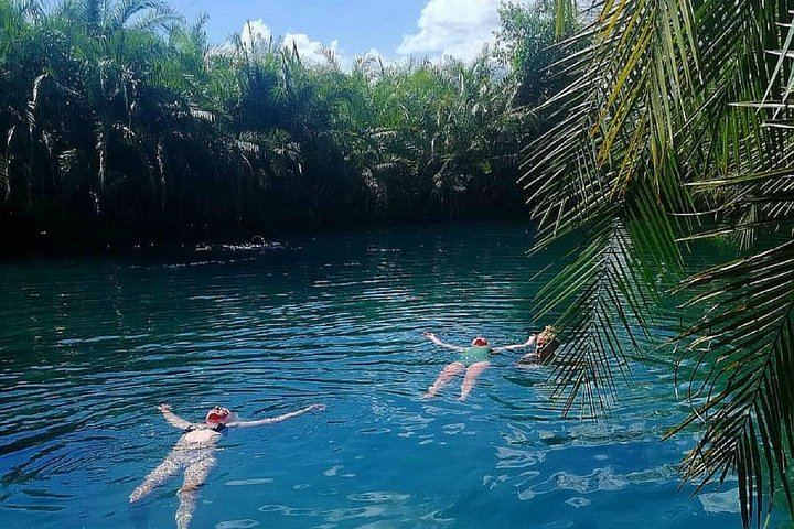 Materuni Waterfall Hike, Chagga Coffee Tour and Kikuletwa Hot Springs Swing Day (3/11)