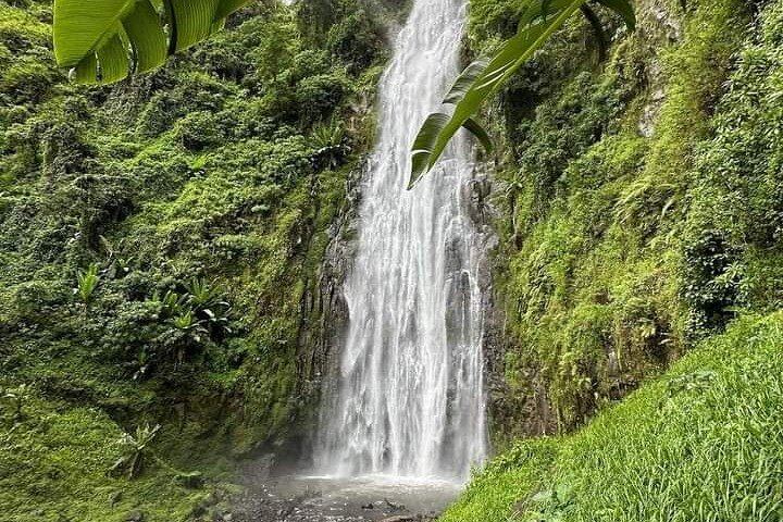 Materuni Waterfall and Coffee Tour with Optional Kikuletwa Hot Springs from Moshi (1/12)