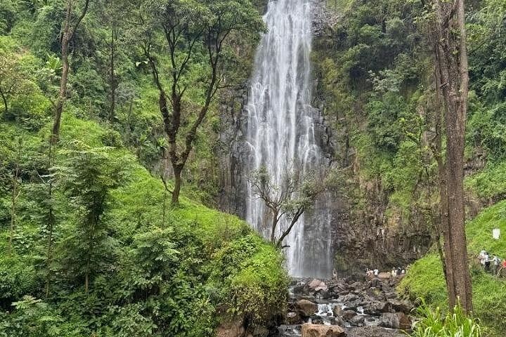 Materuni Waterfall and Coffee Tour with Optional Kikuletwa Hot Springs from Moshi (8/12)