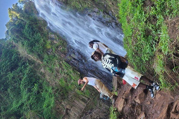 Materuni Waterfall and Coffee Tour with Optional Kikuletwa Hot Springs from Moshi (9/12)