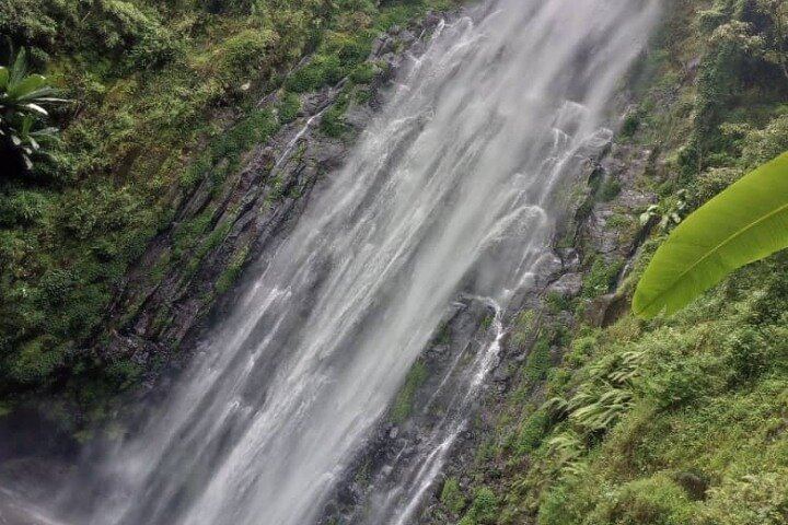 Materuni Waterfall and Coffee Tour with Optional Kikuletwa Hot Springs from Moshi (11/12)