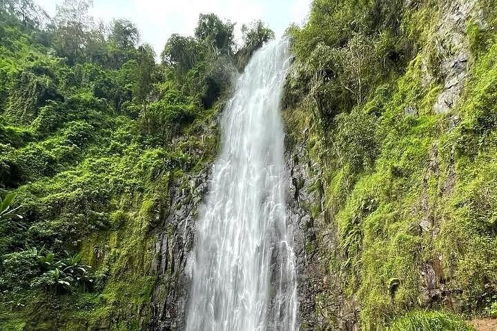 Materuni Waterfall and Coffee Tour with Optional Kikuletwa Hot Springs from Moshi (3/12)