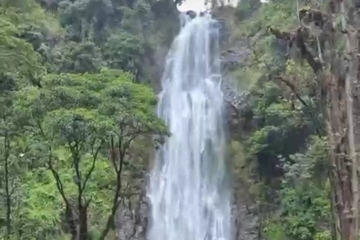Materuni Waterfall and Coffee Tour with Optional Kikuletwa Hot Springs from Moshi (10/12)