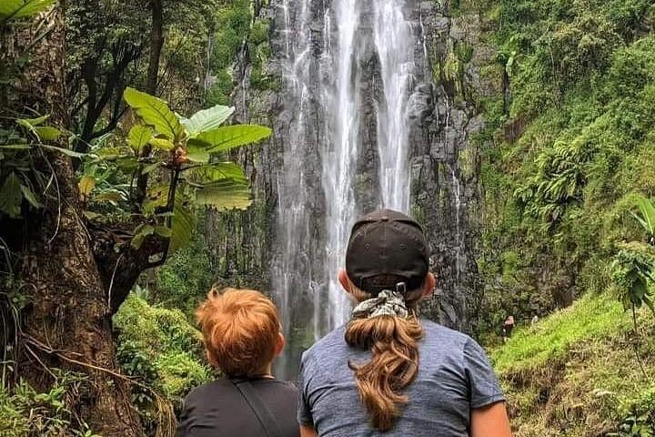 Materuni Waterfall and Coffee Tour with Optional Kikuletwa Hot Springs from Moshi (2/12)