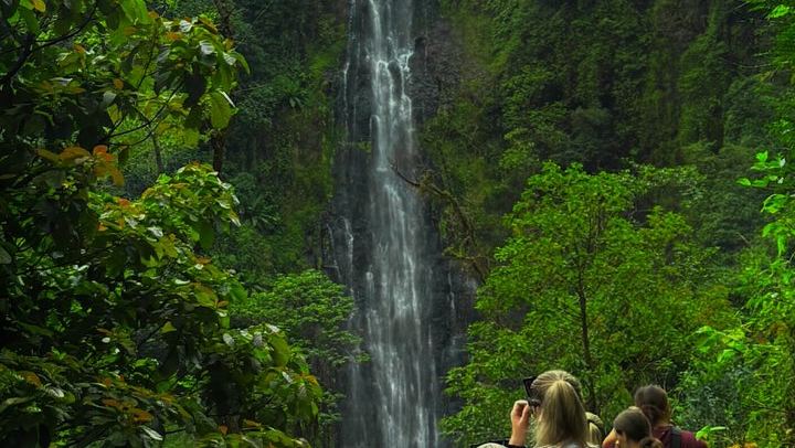 Nature Whisper Materuni Waterfalls Hike and Organic Coffee Half-Day Tour (3/12)