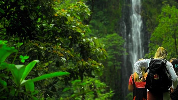Nature Whisper Materuni Waterfalls Hike and Organic Coffee Half-Day Tour (4/12)
