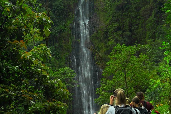 Nature Whisper Materuni Waterfalls Hike and Organic Coffee Half-Day Tour (3/12)