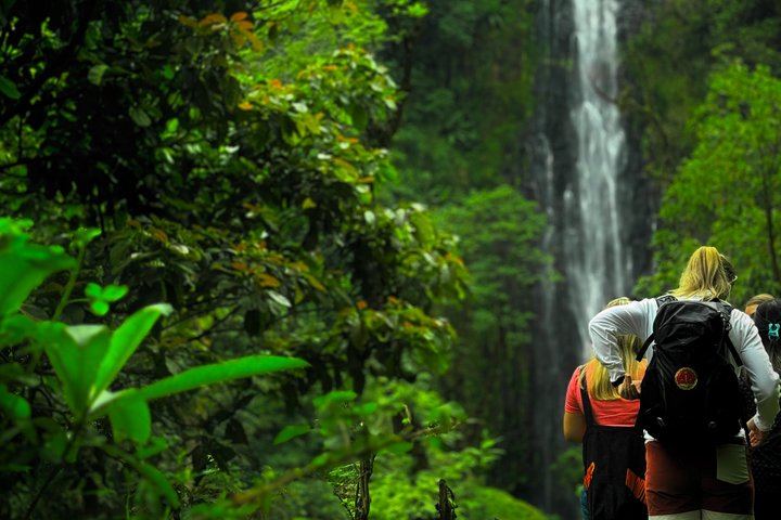 Nature Whisper Materuni Waterfalls Hike and Organic Coffee Half-Day Tour (4/12)