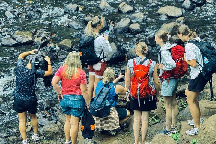 Nature Whisper Materuni Waterfalls Hike and Organic Coffee Half-Day Tour (7/12)