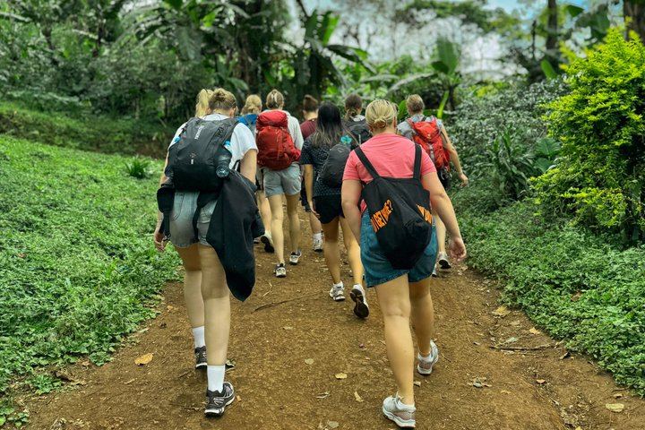 Nature Whisper Materuni Waterfalls Hike and Organic Coffee Half-Day Tour (6/12)