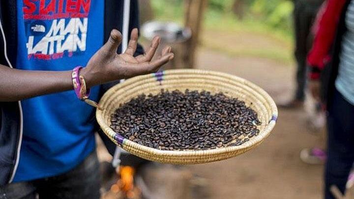 Materuni Waterfall Hike, Chagga Village Lunch, Coffee Tour and Kikuletwa Hot Springs (3/12)
