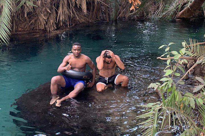 Materuni Waterfall Hike, Chagga Village Lunch, Coffee Tour and Kikuletwa Hot Springs (1/12)