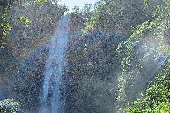 Materuni Waterfall Hike, Chagga Village Lunch, Coffee Tour and Kikuletwa Hot Springs (7/12)