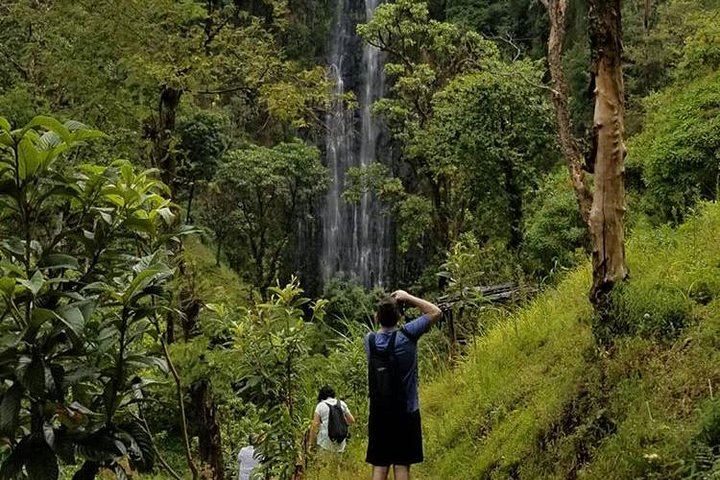 Materuni Waterfall Hike, Chagga Village Lunch, Coffee Tour and Kikuletwa Hot Springs (9/12)