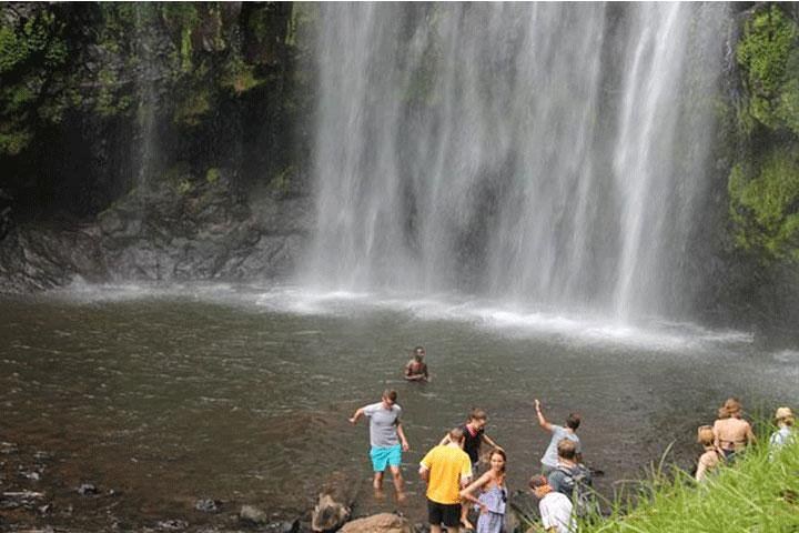 Materuni Waterfall Hike, Chagga Village Lunch, Coffee Tour and Kikuletwa Hot Springs (2/12)