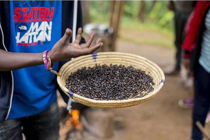 Materuni Waterfall Hike, Chagga Village Lunch, Coffee Tour and Kikuletwa Hot Springs (3/12)