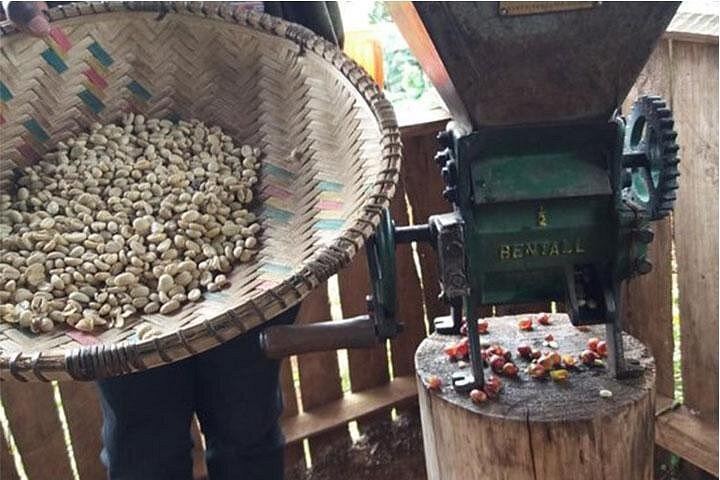 Materuni Waterfall Hike, Chagga Village Lunch, Coffee Tour and Kikuletwa Hot Springs (5/12)