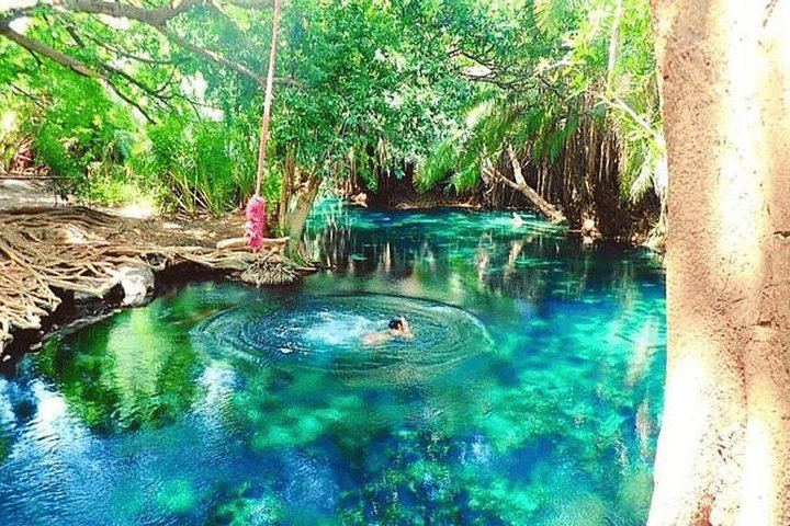 Materuni Waterfall Hike, Chagga Village Lunch, Coffee Tour and Kikuletwa Hot Springs (11/12)