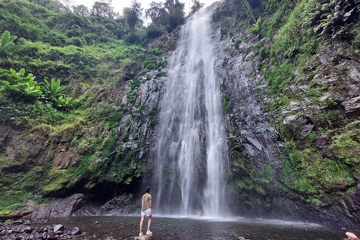 Private Materuni Waterfalls and Coffee Tour with Hot Lunch and Banana Wine Tasting (2/12)