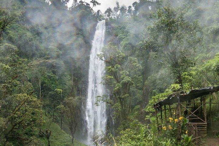 Materuni Waterfall Hike, Chagga Coffee Tour and Kikuletwa Hot Springs Swing Day (9/11)