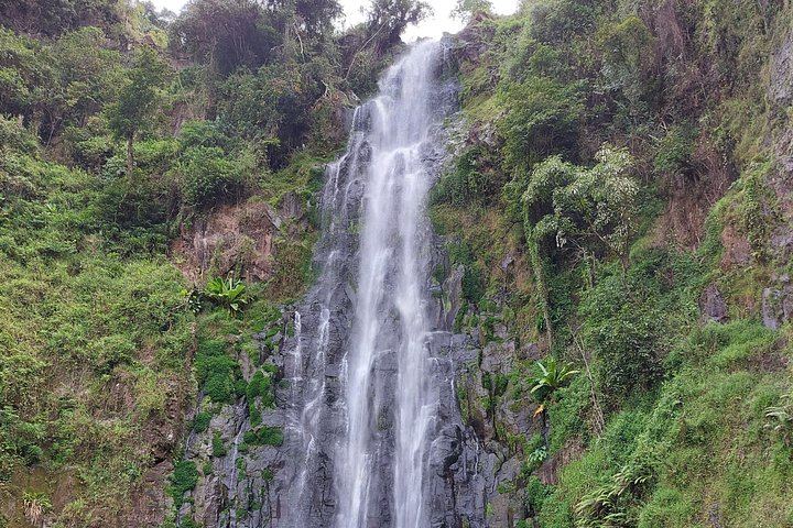 Private Materuni Waterfalls and Coffee Tour with Hot Lunch and Banana Wine Tasting (6/12)