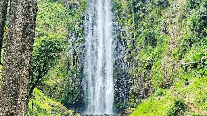 Private Materuni Waterfalls and Coffee Tour with Hot Lunch and Banana Wine Tasting (3/12)